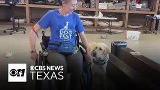 Lonestar turns on lights, trains with a wheelchair