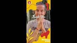 The Mindfulness Project says Thank you!!