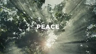Jesus Brings Us True Peace