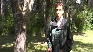 BearSmart camping strategies
