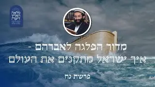 פרשת נח • הרב ראובן ששון • מדור הפלגה לאברהם - איך מתקנים את העולם