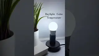 Daylight Color Temperature example. Perfect for professional applications. #led #daylight