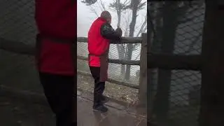 Monkey steals food from vendor and enjoys snack in Sichuan, China