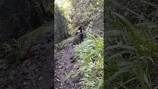 hiking to mfangano Hills