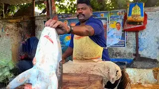 45$ 28&euro; SHARK 🤤 FISH CUTTING 🔪 AMAZING  FISH CUTTING SKILLS 🔥🔥