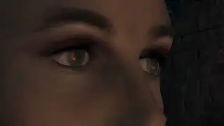 Fallout New Vegas - Real-time reflections demo 2