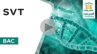 Bac Sciences : SVT - Génétique Formelle Partie 02 | Cours Complet & Exemples Corrigés