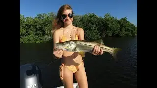 Snook Fishing with live Sardines (pilchards)!