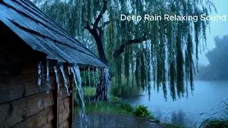 Heavy Rain on Metal Rooftop | Relaxing Rain Sounds for Sleep & Stress Relief