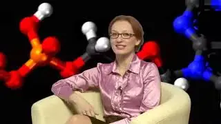 Продукция Vision . Презентация продукта
