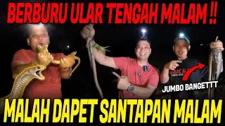 SURVIVAL ALAM LIAR BERBURU MAKANAN ALAM PENUH GIZI DAPAT BANYAK BELUT