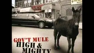 Gov't Mule - 3 String George.wmv