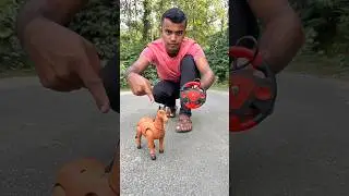 Remote Control Horse Unboxing