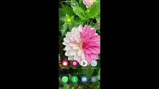 top 5 applications  that you must have installed on your device as a blind user