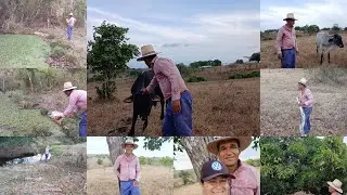 FOMOS OLHAR OS OUTROS DOIS CERCADOS/ENCONTRAMOS MUITA ÁGUA NAS MINAÇÕES, NO RIO E CERCA QUEBRADA
