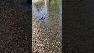 Отрабатываем навыки в открытой воде