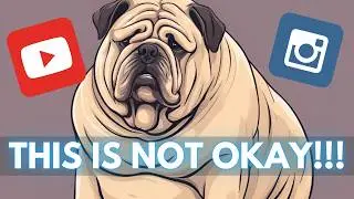 Stop Normalizing Obese Dogs &ndash; They&rsquo;re Not Cute, They&rsquo;re at Risk!