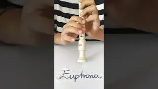 Euphoria-BTS Jungkook (Full Recorder version)