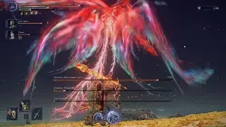 ELDEN RING NIGHTREIGN WYLDR EPIC WIN VS ANIMUS!!!!!
