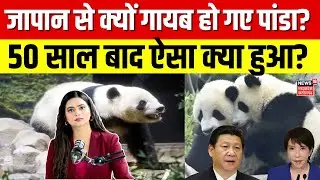 Crowds Bid Farewell to Japan's Last Pandas : जापान ने अपने आखिरी पांडा को विदाई दी | N18G