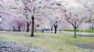 Moodswings Moodfood Hairy Piano (Remix)