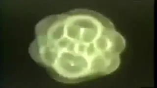 Water and Sound Frequency : Revealing Geometric Complexity