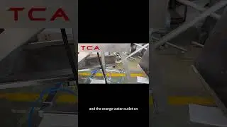 French fries frying production line #machine #potato