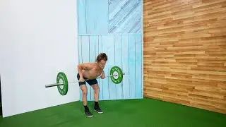 Barbell Bent Over Row Pronated