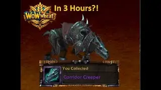 How to Get the Corridor Creeper Mount in 3 Hours &ndash; WOW Mount Guide