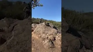 Lower OverDrive Rock Roll #mtb #shorts #mountainbiking #socalmtb