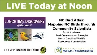 Lunchtime Discovery Series: NC Bird Atlas: Mapping NC Birds through Community Scientists