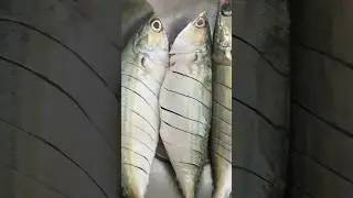Easy fish fry#shortvideos #easymaking #homemade #ayalafry #fish #fishfryrecipe  #howtomakefishfry