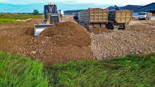 Best SHANTUI Performance: Passive Expansion & Stone Fill Landfill Work in Forest