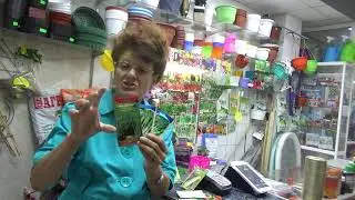 Кабачок,кабачок,я тебя посею в ИЮЛЕ!!!!!!!!!