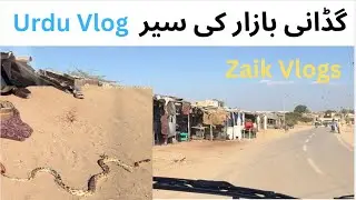 Gaddani Bazar Ki Sair | Gaddani Market | Urdu Vlog | Zaik Vlogs |