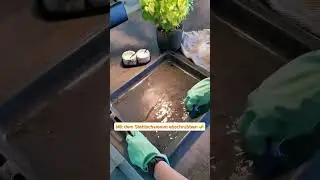 Backblech dreckig? 🤢          ▶️ Dieser geniale Trick hilft garantiert! 🧽 #lifehacks #lifehacking