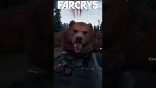 How to beat a Bear in Far Cry 🐻