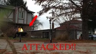 Dog Attacks Bmx Rider !!!