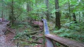 NED'S GAP and Log Ride to Drop