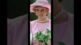 Top 20 best pictures of lady Diana