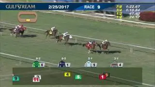 Gulfstream Park Race 9 | February 25, 2017