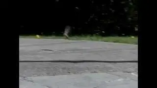 New Casio Camera with 1000 fps max record in video (slo-mo)