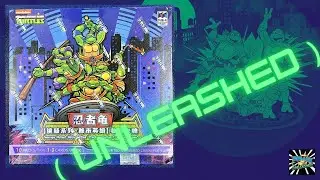Patch & Die-cut Pulls!! 2025 Wonder Card TMNT Precious Series 1 Urban Heros trading cards Unleashed