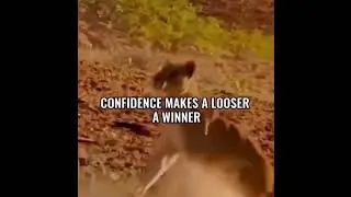 Over Confidence |Attitude status |Motivational Status. #shorts #viral #overconfidence #status