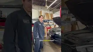 Finding a V8 Kia K900! (Ultra-Rare 2015 Model in Our Service Bay)