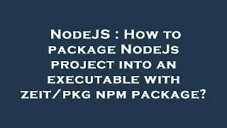 NodeJS : How to package NodeJs project into an executable with zeit/pkg npm package?