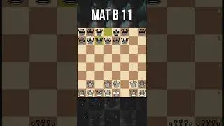 14 ферзей ЖЕСТЬ НА ДОСКЕ! мат в 11 ходов #shorts #шахматы #chess