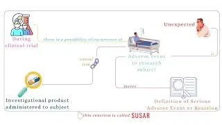 Suspected Unexpected Serious Adverse Reaction (SUSAR) - Concept Capsule