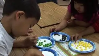 Teaching in the Inclusive Classroom: Using Choices to Teach Responsibility