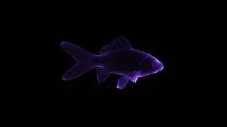 CryptoFish
